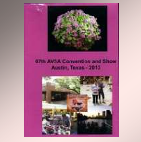 2013 - Violets Dance Across Texas