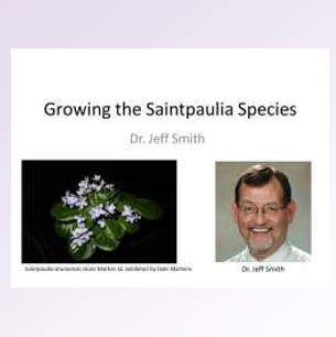 Growing Saintpaulia Species: Mimicking Mother Nature