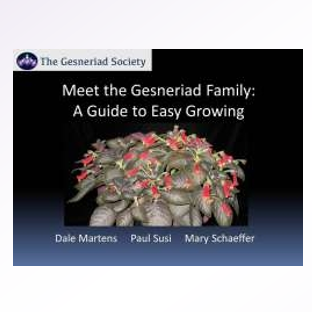 Meet the Gesneriad Family - A Guide to Easy Growing