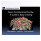 Meet the Gesneriad Family - A Guide to Easy Growing