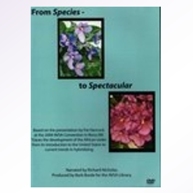 From Species to Spectacular