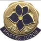Master Judge Pin