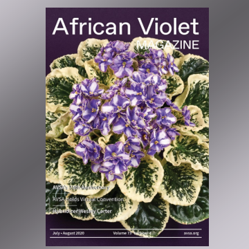 African Violet Magazine 2020 Jul-Aug
