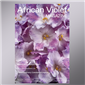 African Violet Magazine 2020 Nov-Dec