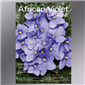 African Violet Magazine 2021 Jan-Feb