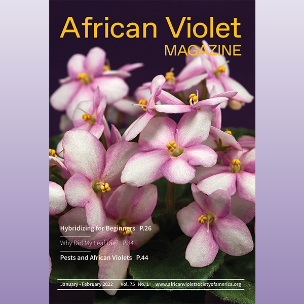 African Violet Magazine 2022 Jan-Feb