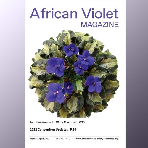 African Violet Magazine 2022 Mar-Apr