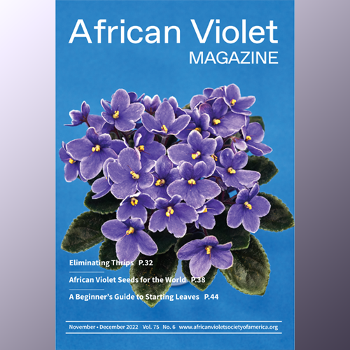 African Violet Magazine 2022 Nov-Dec
