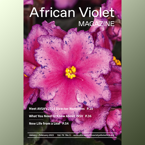 African Violet Magazine 2023 Jan-Feb
