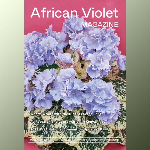 African Violet Magazine 2023 Mar-Apr