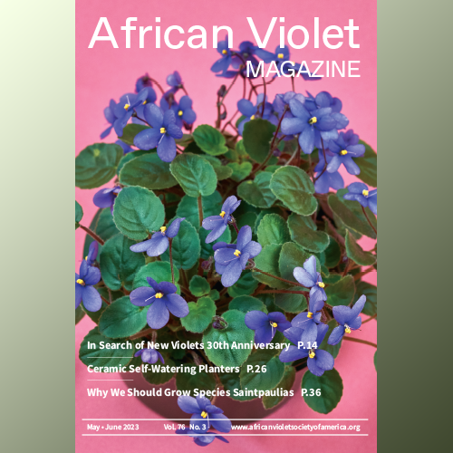 African Violet Magazine 2023 May-Jun