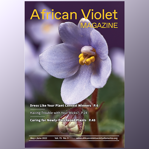 African Violet Magazine 2022 May-Jun