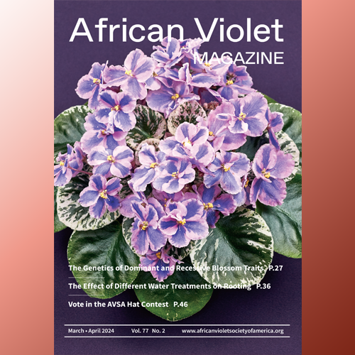 African Violet Magazine 2024 Mar-Apr