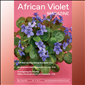 African Violet Magazine 2024 May-Jun