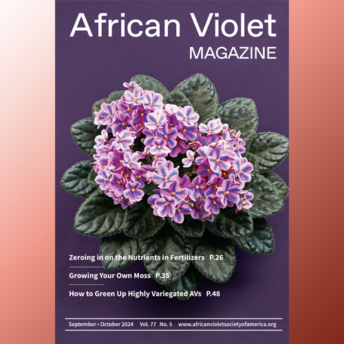 African Violet Magazine 2024 Sep-Oct