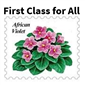 First Class for All - (Mac)